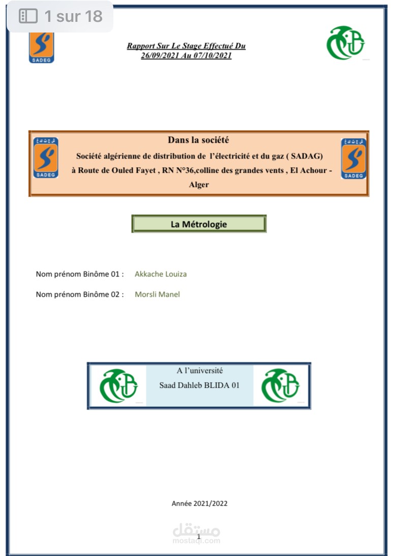 كتابة، تنسيق وتدقيق "تقرير التدريب" (Rapport de Stage) احترافي باللغة الفرنسية
