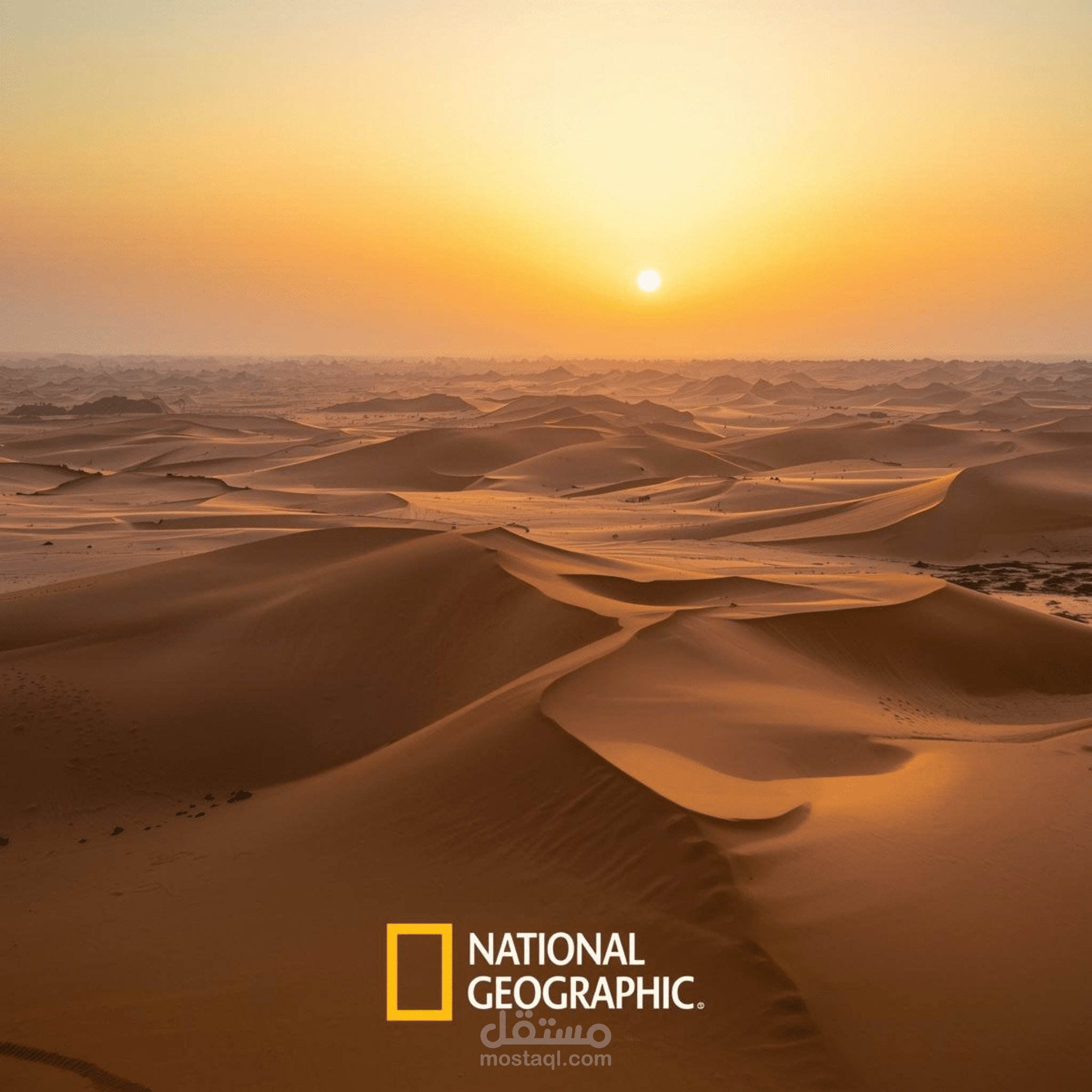 ترجمة محتوى لقناة ناشونال جيوغرافيك أبوظبي من الإنجليزية إلى العربية