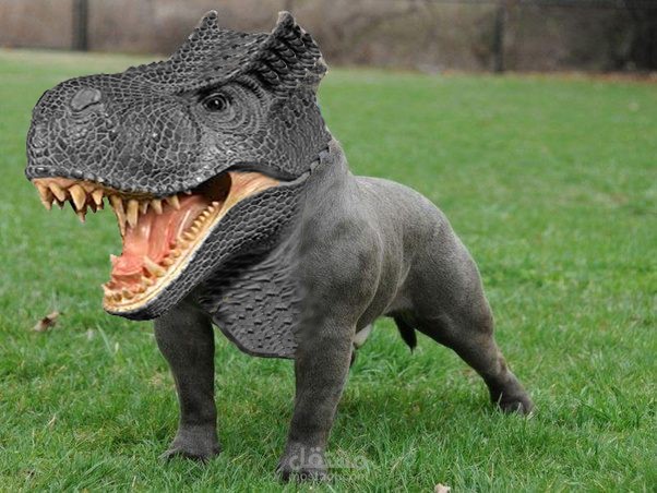 حيوان خرافى