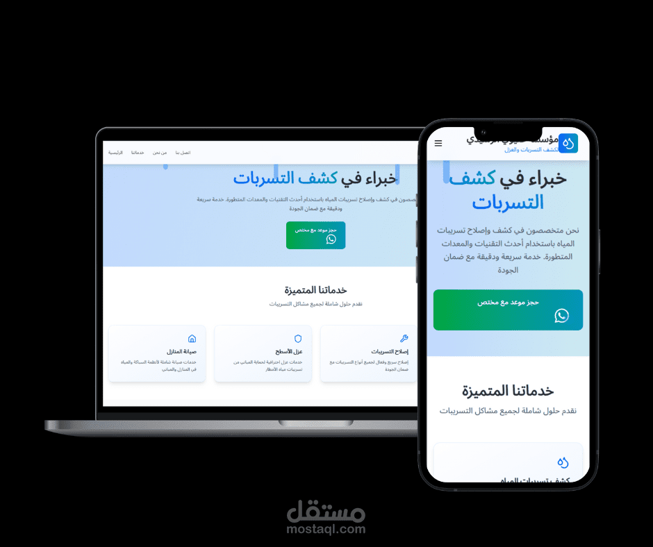 موقع خاص بمؤسسة كشف تسربات و سباكه بالرياض