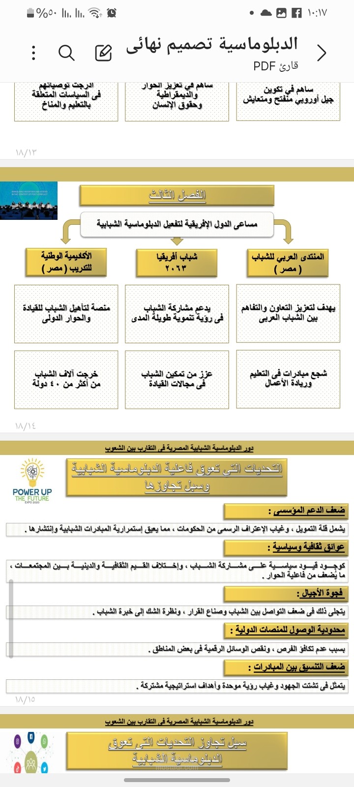 الدبلوماسية الشبابية