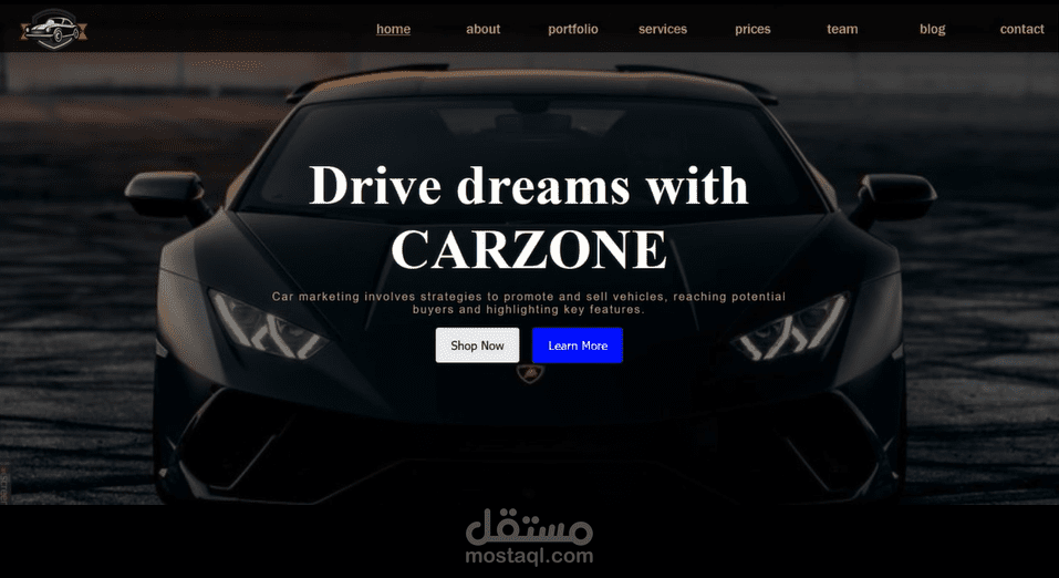 CarZone Website
