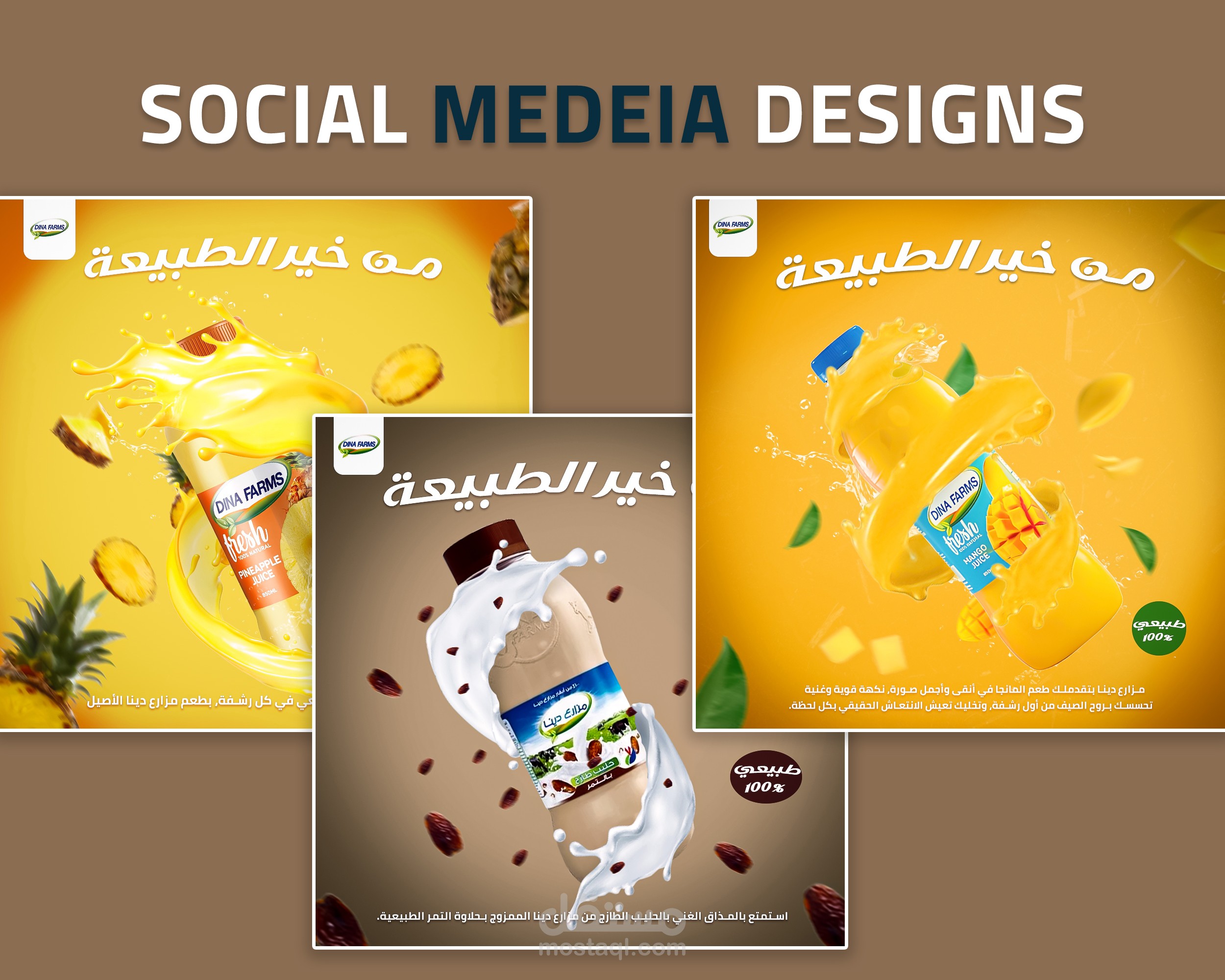 Dina farms social media designs
