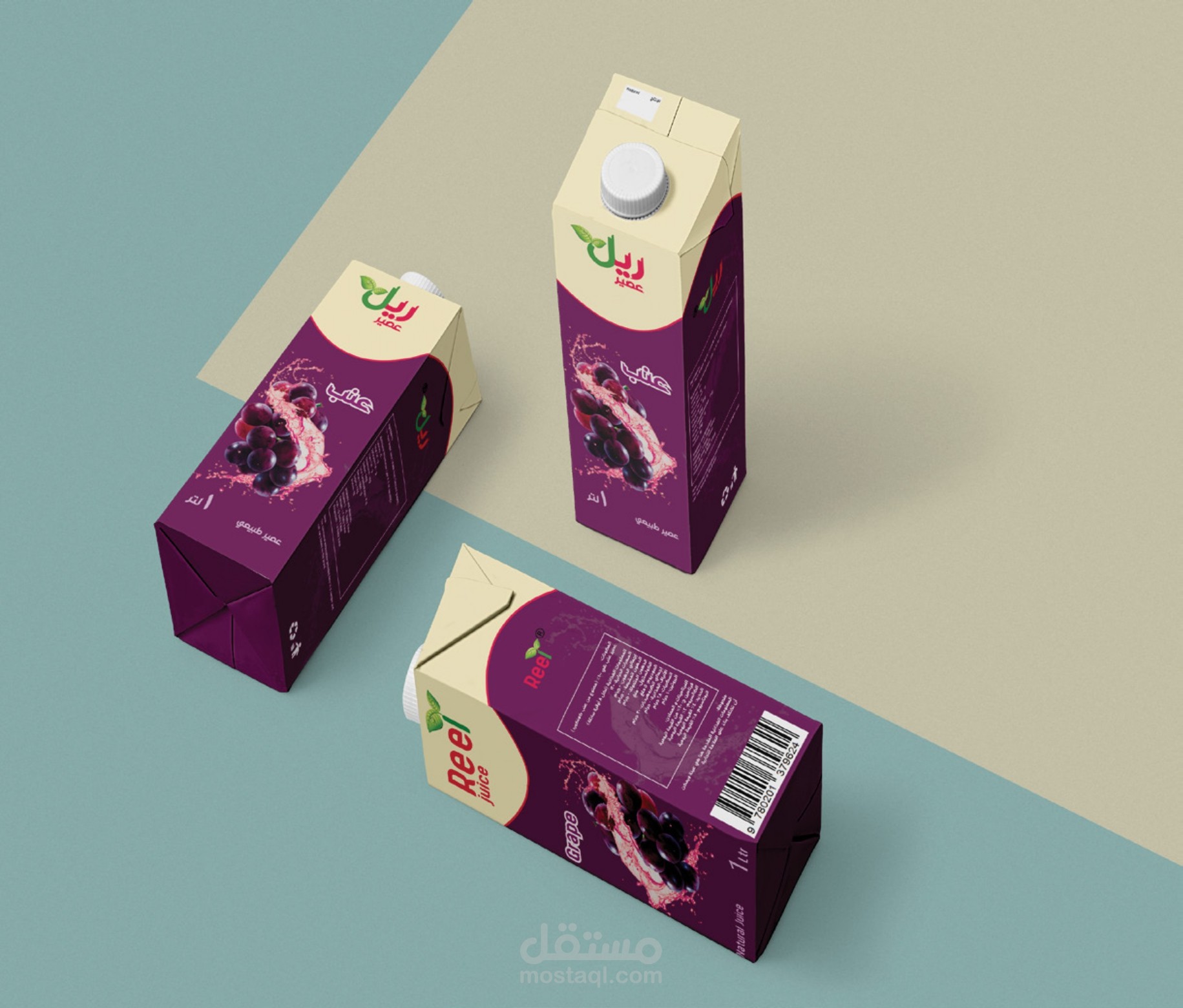 Packaging Project