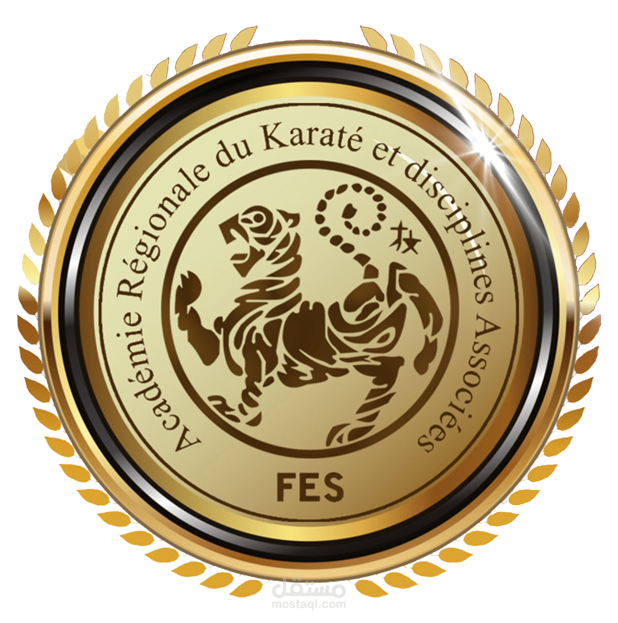 Logo for sport academy