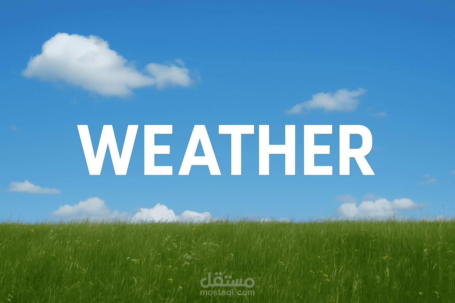 Weather Web Application