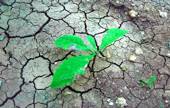 "الأمل وقيمة المعروف: دروس في إصلاح النفس وصناعة الأثر"