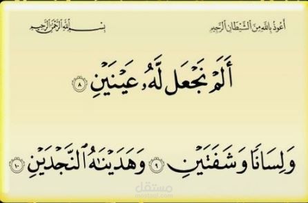 قوائم مالية