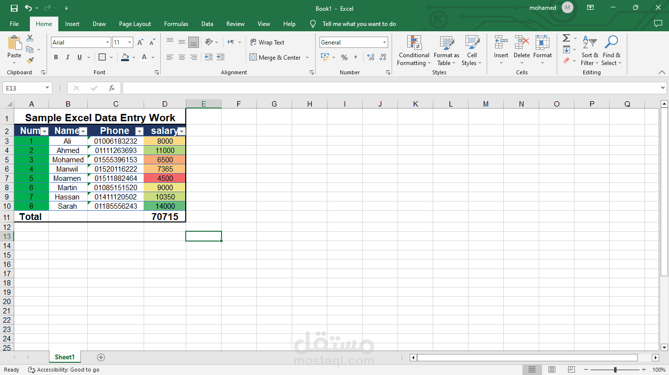 إدخال وتنظيم بيانات على برنامج Excel