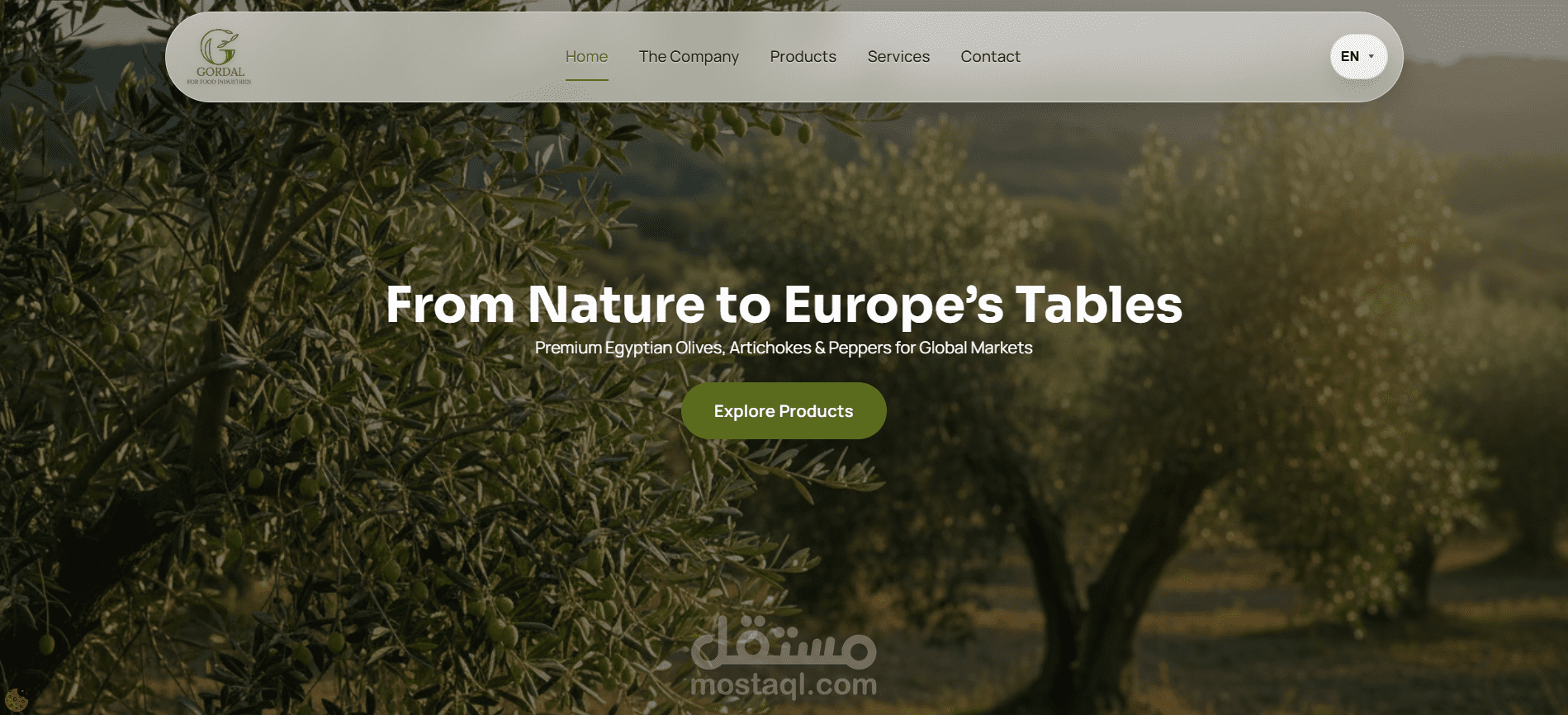 تصميم وتطوير موقع إلكتروني لتصدير المنتجات للأسواق الدولية