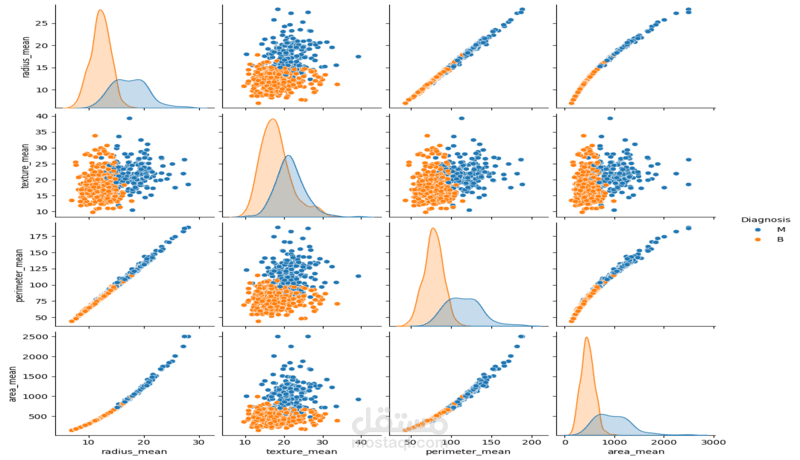 Breast Cancer Classification Project