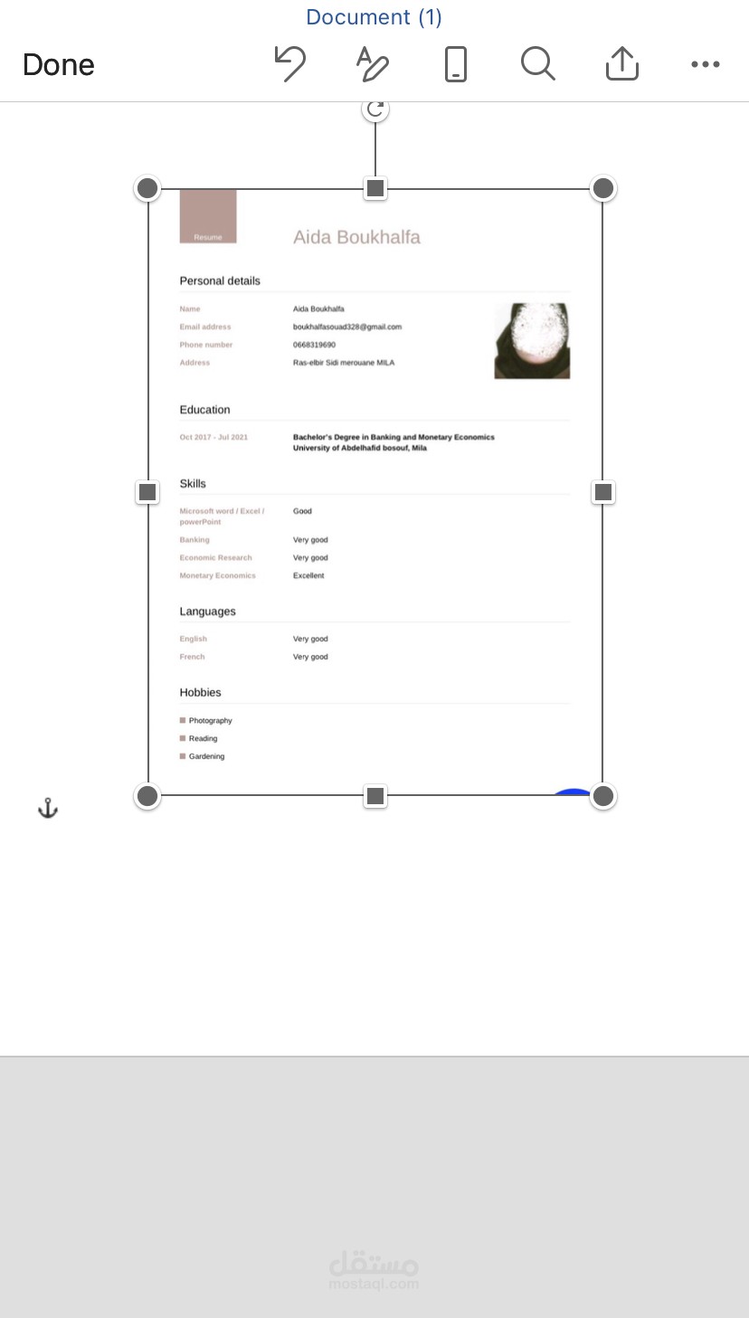 تصميم سيرة ذاتية احترافية pdf