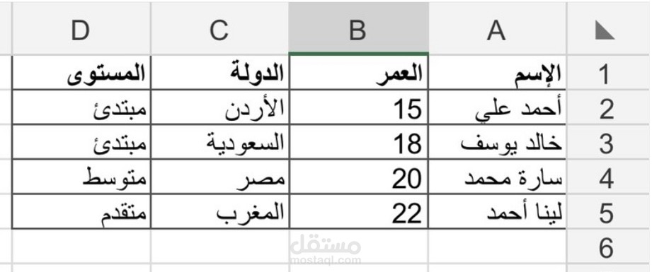 جداول بيانات بسيطة وسريعة الإدخال للمسح والاستبيانات