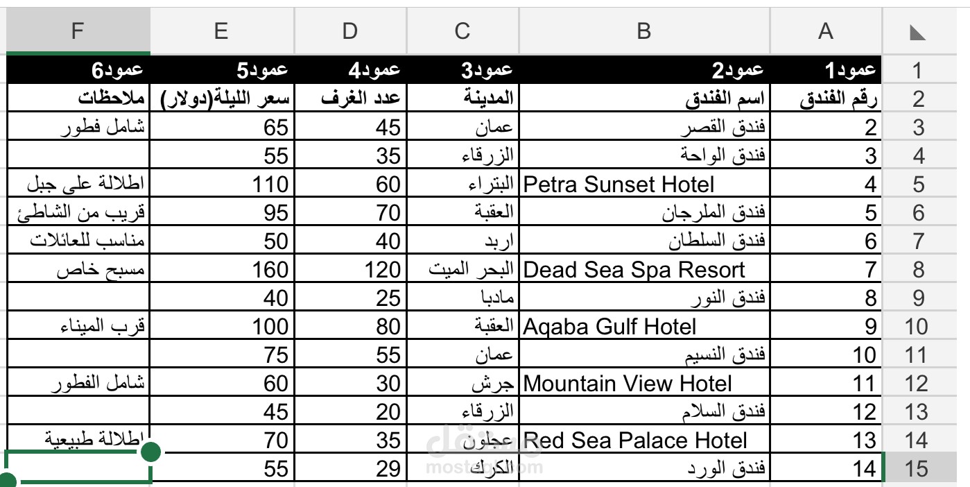 إدخال بيانات منتجات (فنادق) مع تنسيق احترافي