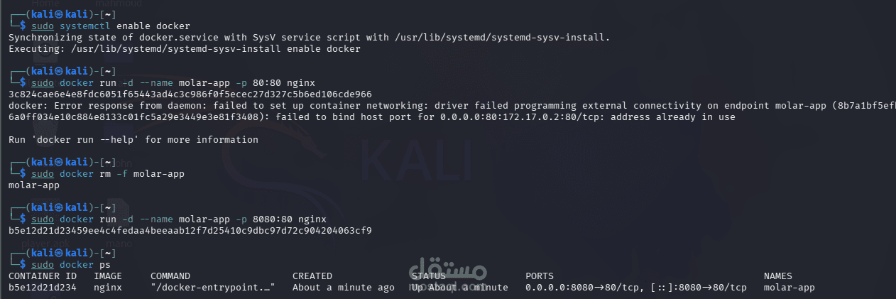 إعداد وتكوين حاويات Docker لتشغيل خوادم الويب (Nginx Container)