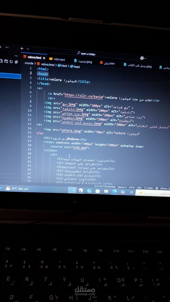مبرمج ويب