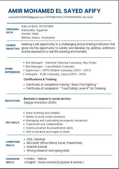 cv بشكل احترافي
