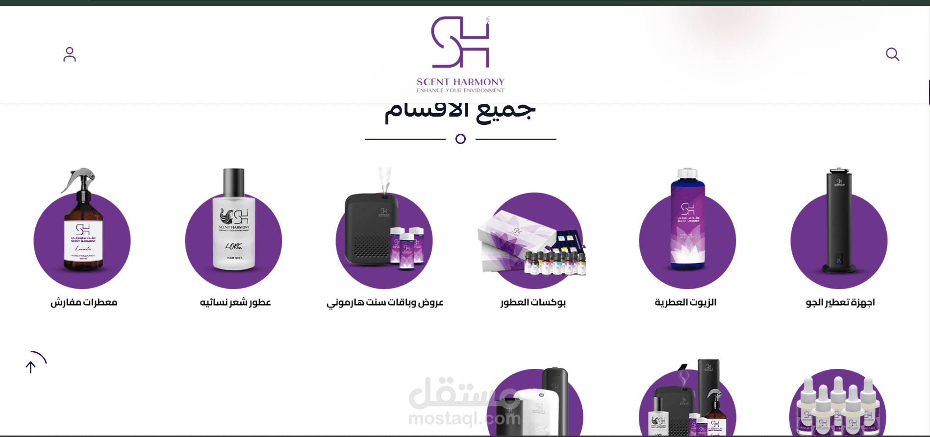 اختبار موقع الكتروني