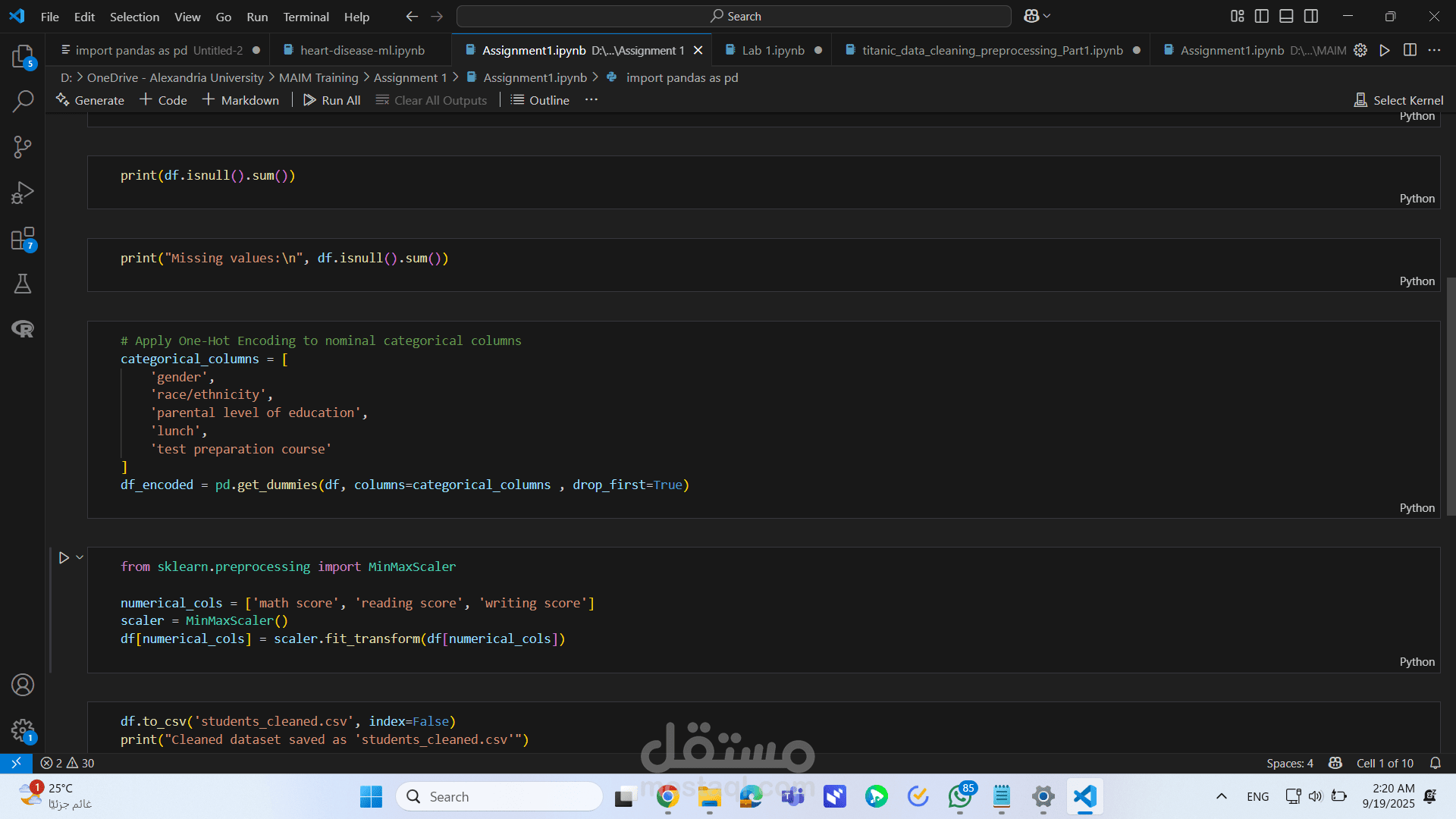Data Preprocessing Project