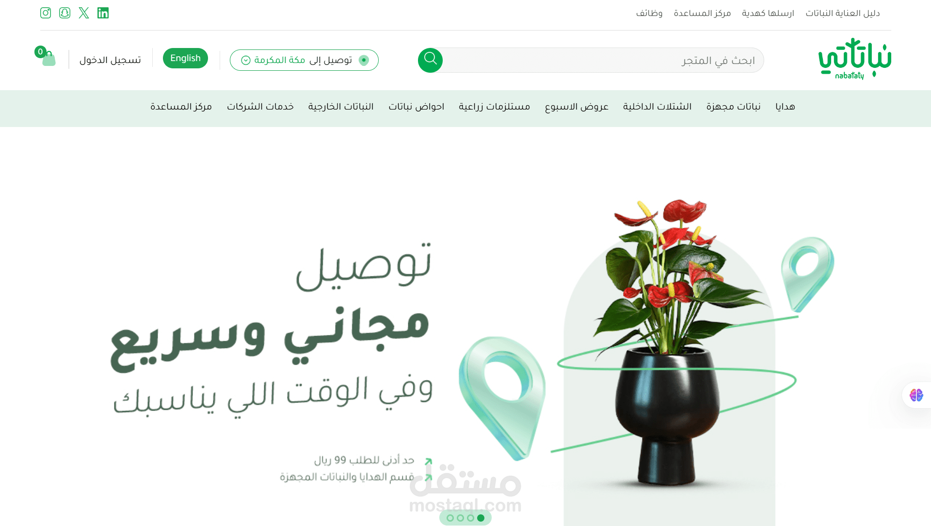 تصميم وتطوير متجر نباتاتي الإلكتروني للمنتجات النباتية على ووردبريس