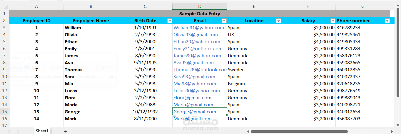 إدخال بيانات باستخدام Excel