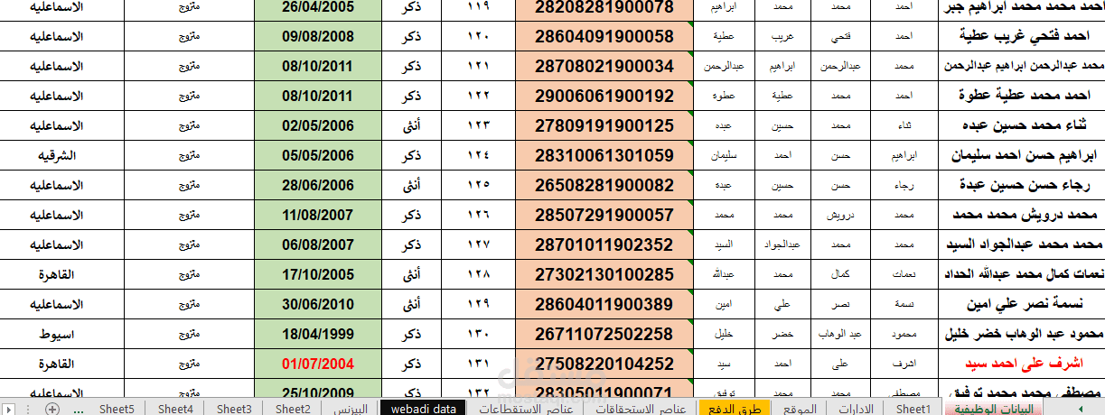 نموذج داتا خاص بالعاملين في قطاع اعمال