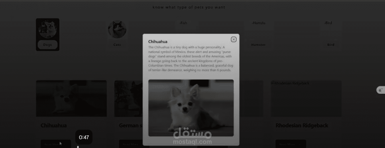 petcare