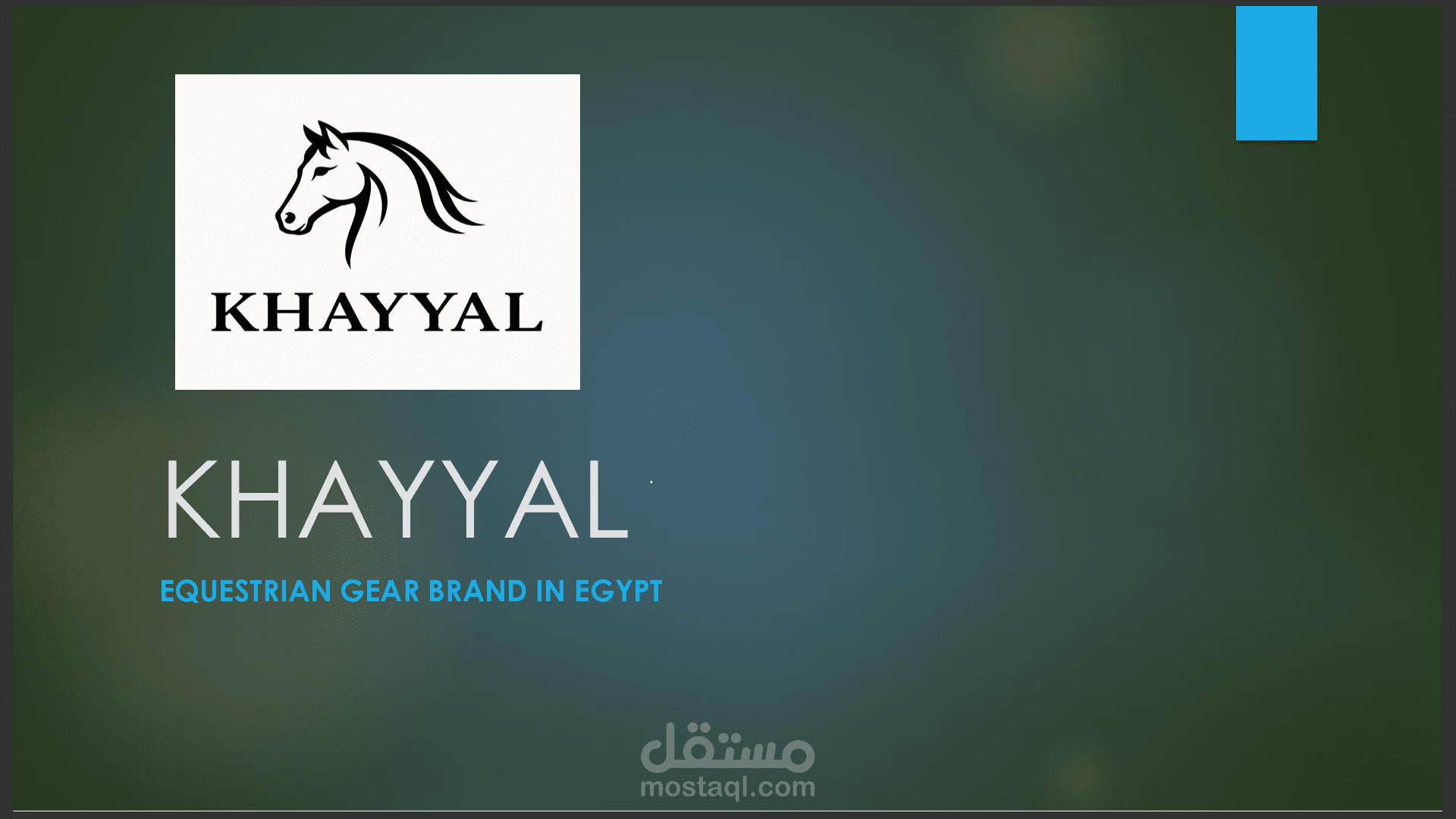 خطة تسويقية