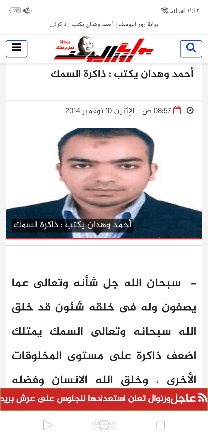 كتابة مقالات