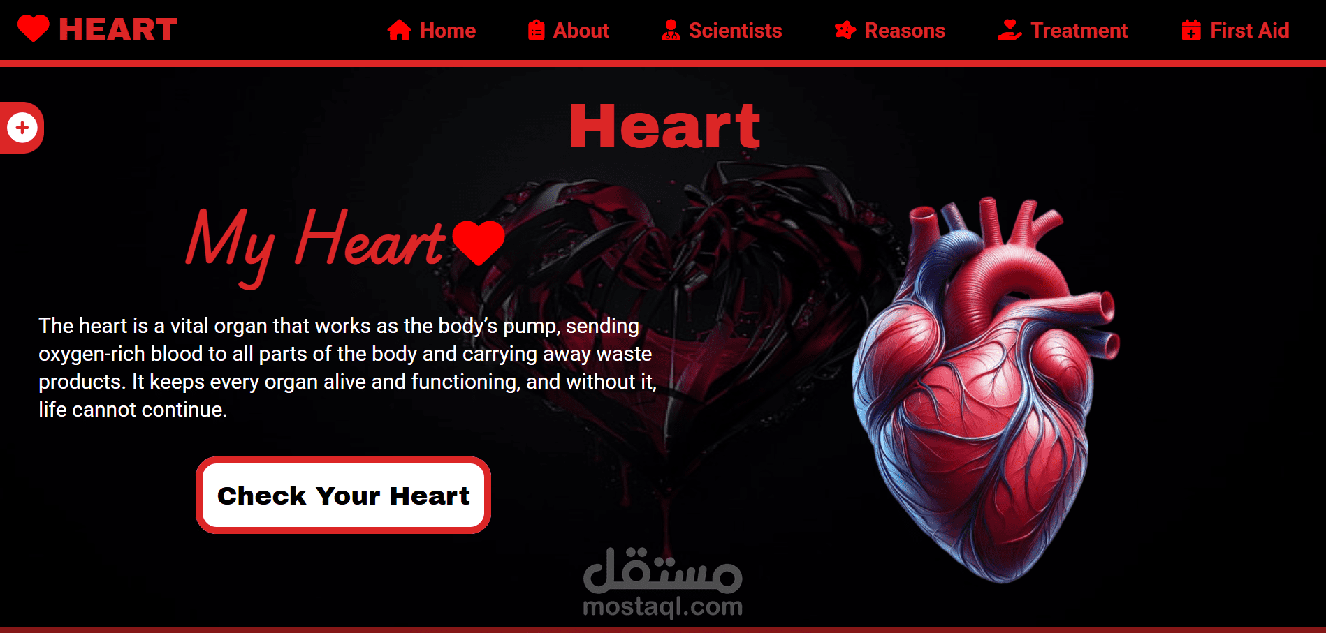 Heart (القلب)