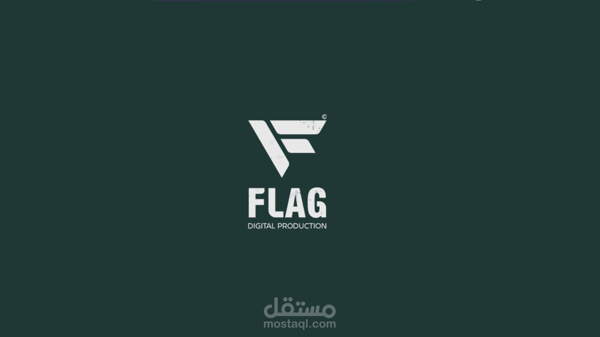 بروفايل شركة flag