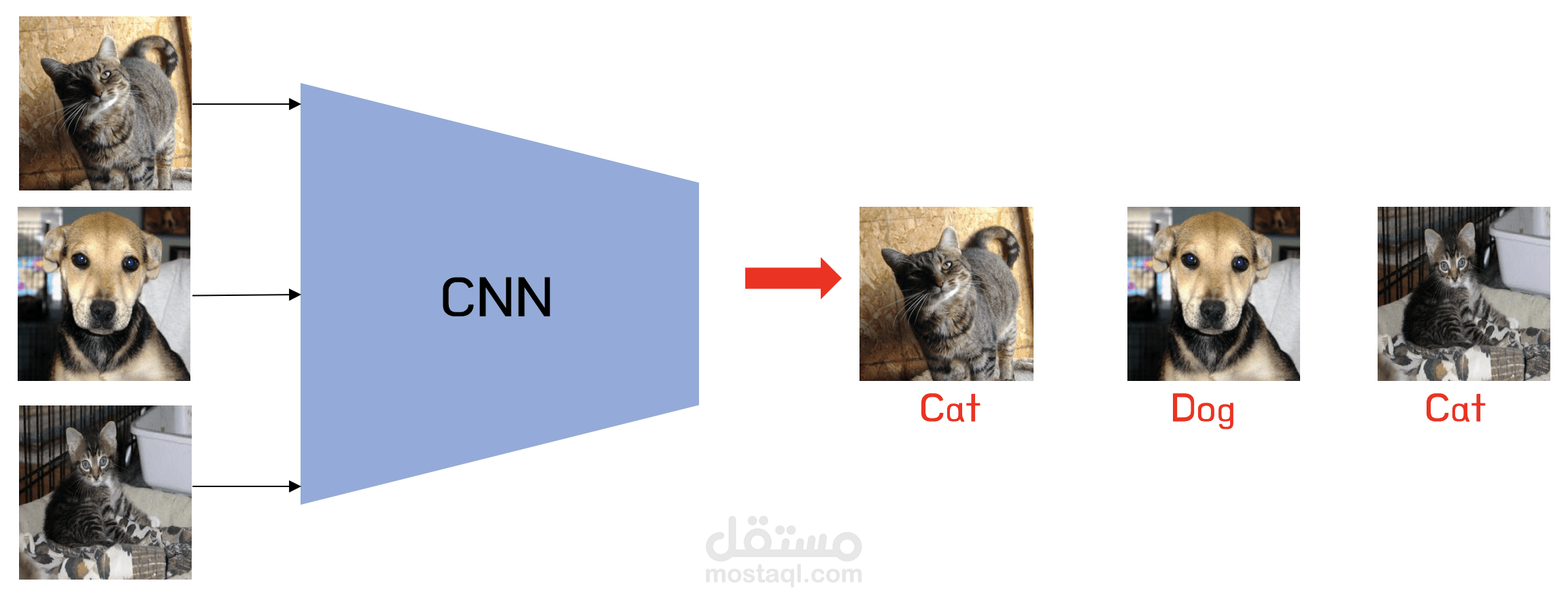 تصنيف الصور باستخدام CNN
