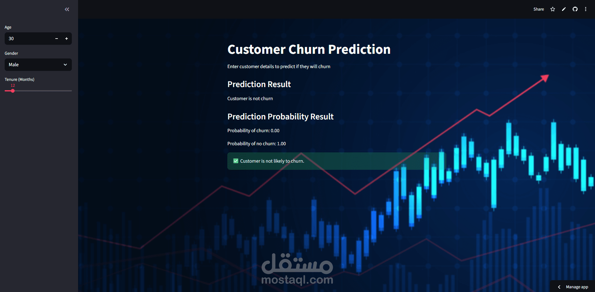 Churn Prediction Application