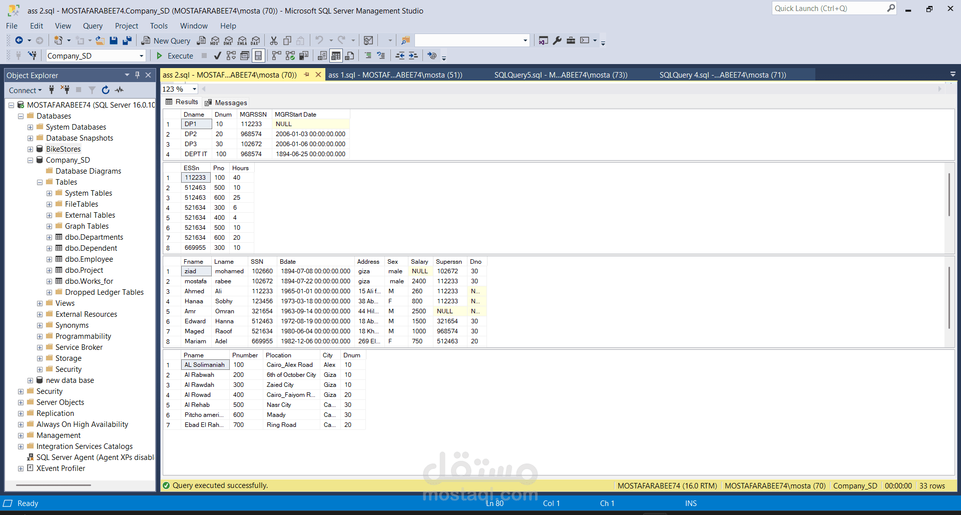نظام لإدارة وتحليل بيانات شركة باستخدم sql