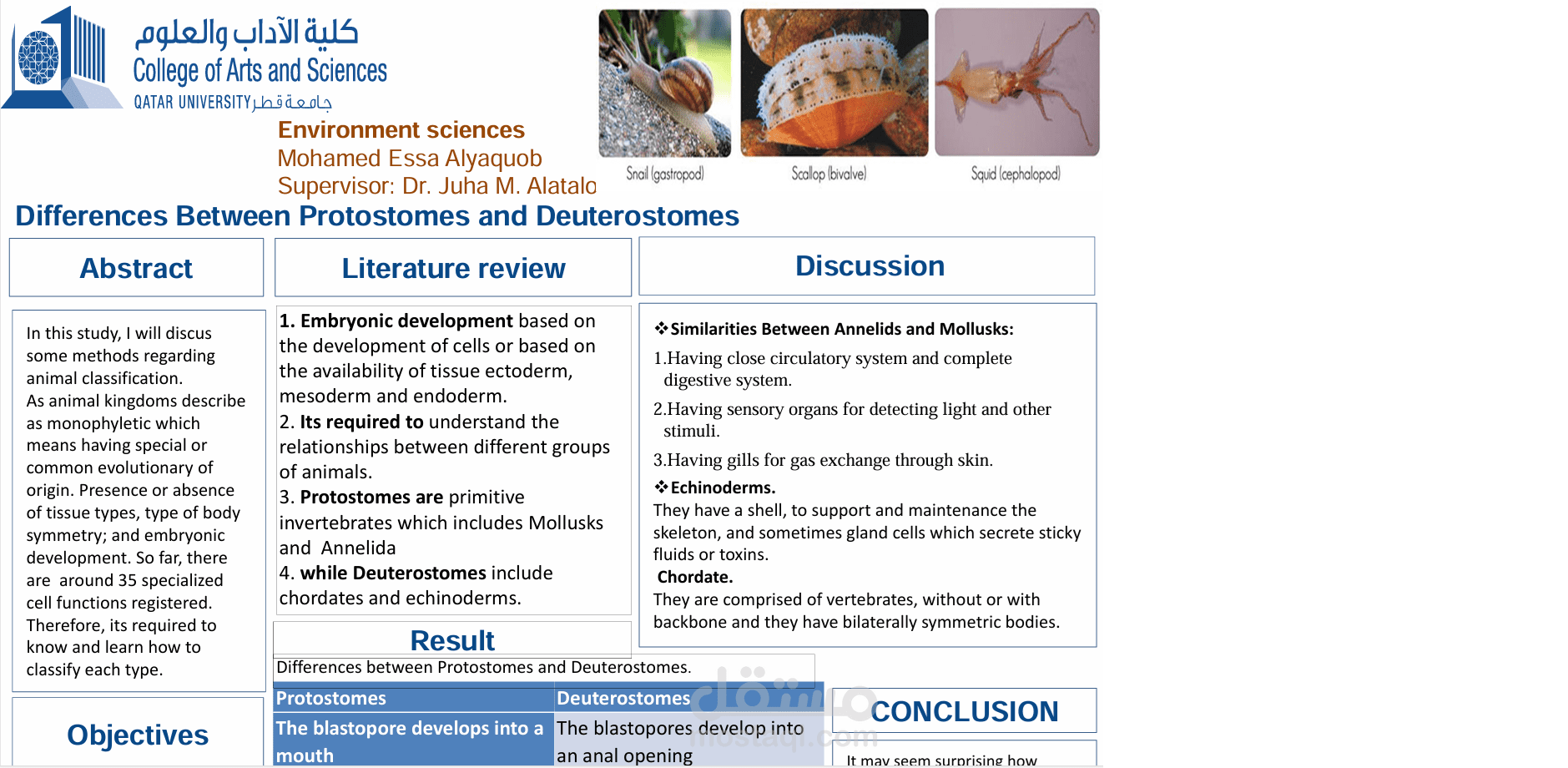 Differences Between Protostomes and Deuterostomes
