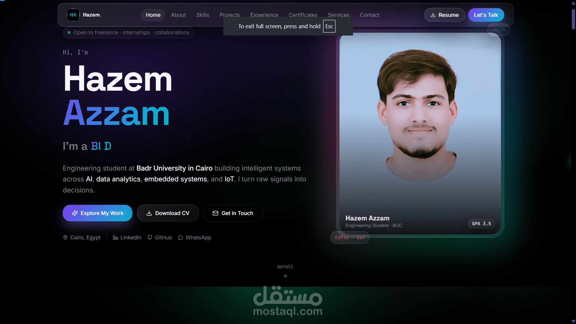 portfolio website