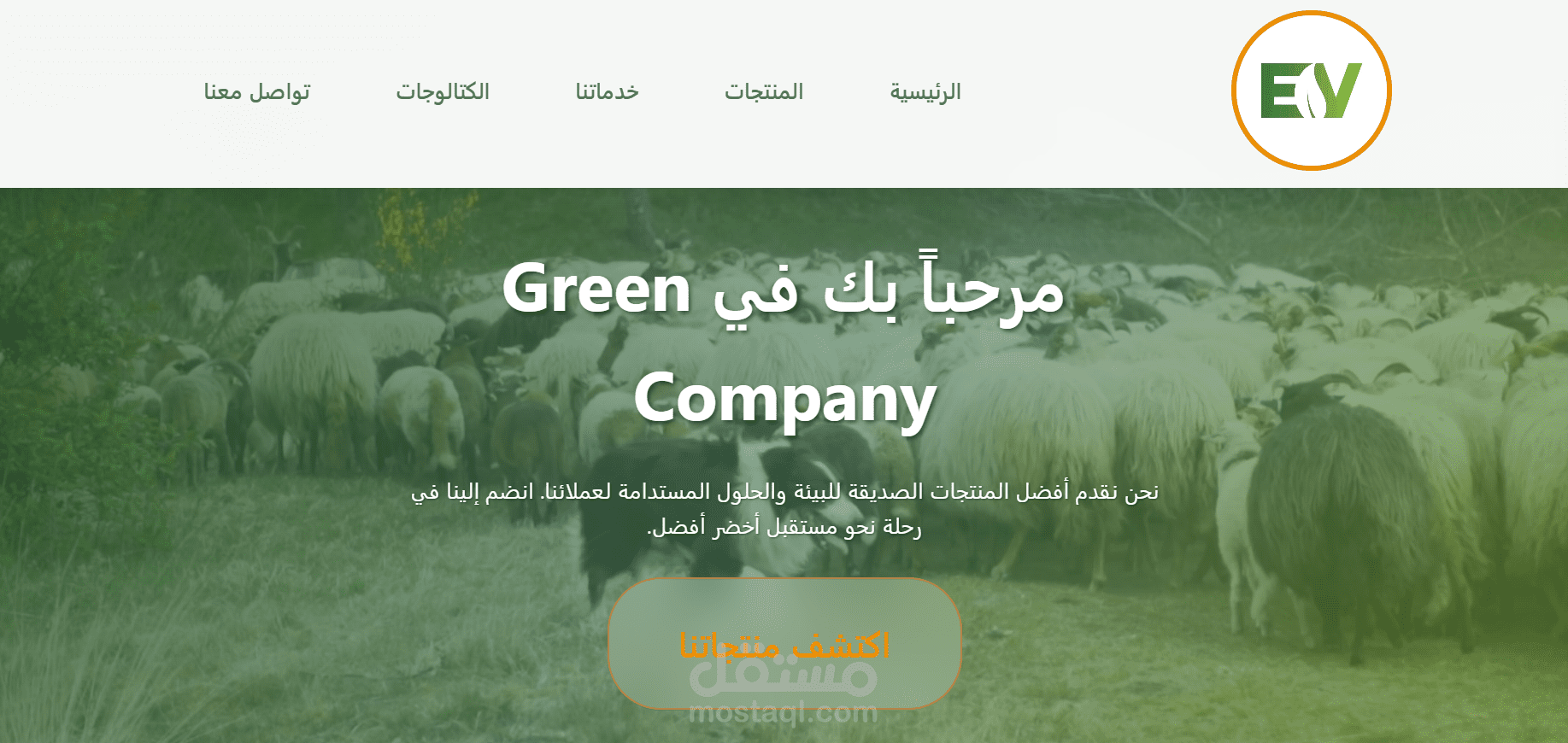 تصميم ويب سايت elitevat