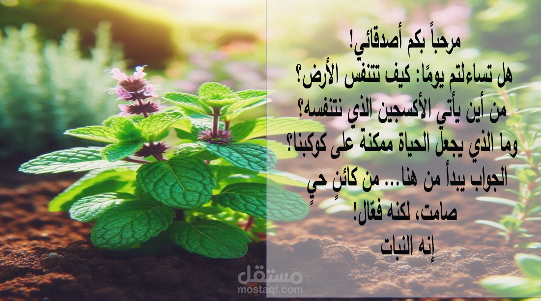فديو قصير عن النبات