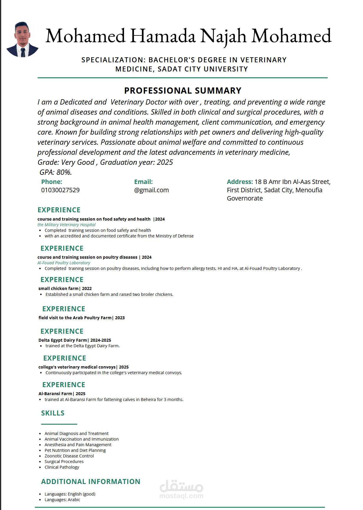cv السيره الذاتيه