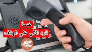رد آلي
