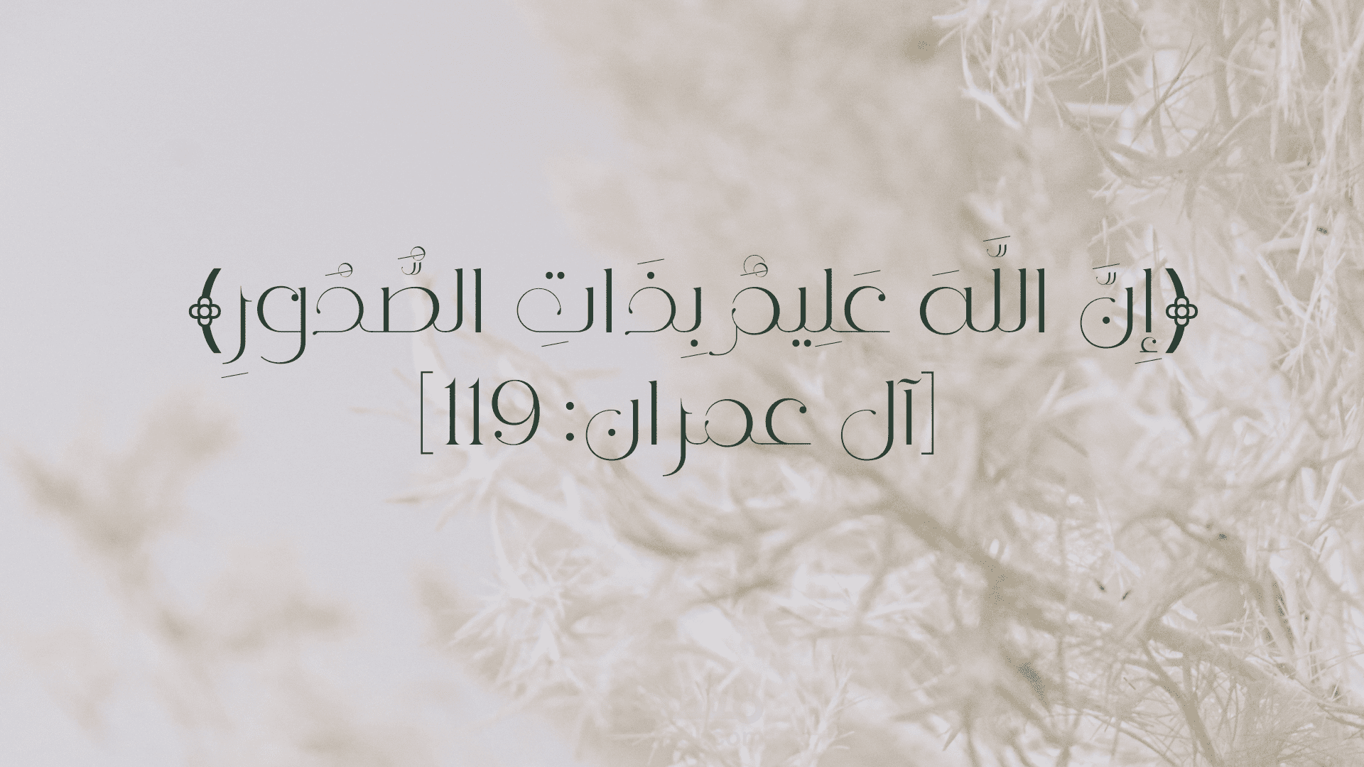 تصميم آيه قرانيه