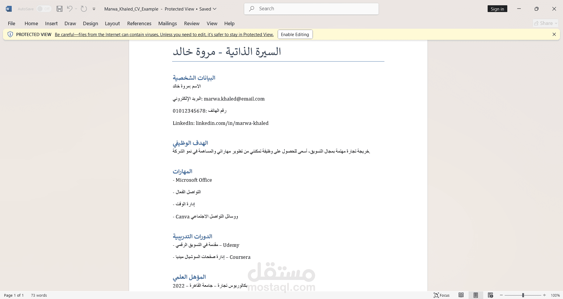 عمل سيرة ذاتية