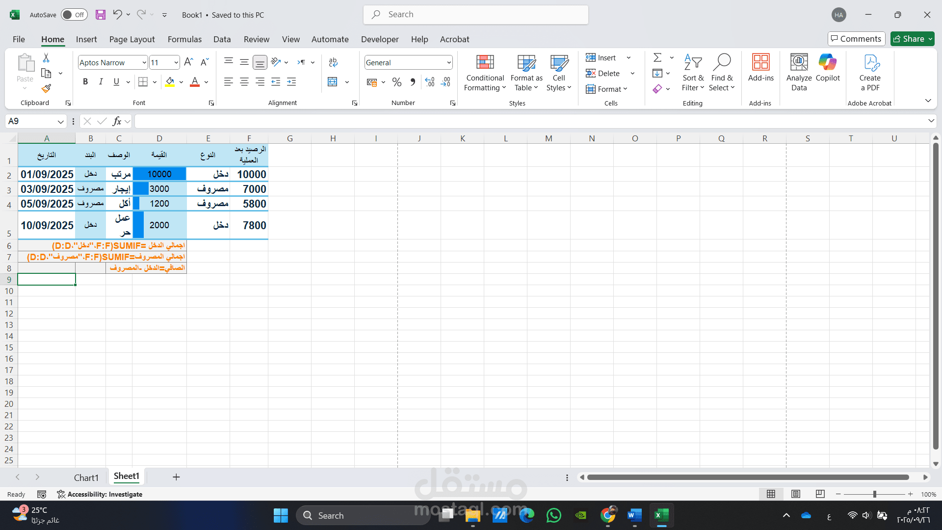 ميزانيه شهرية