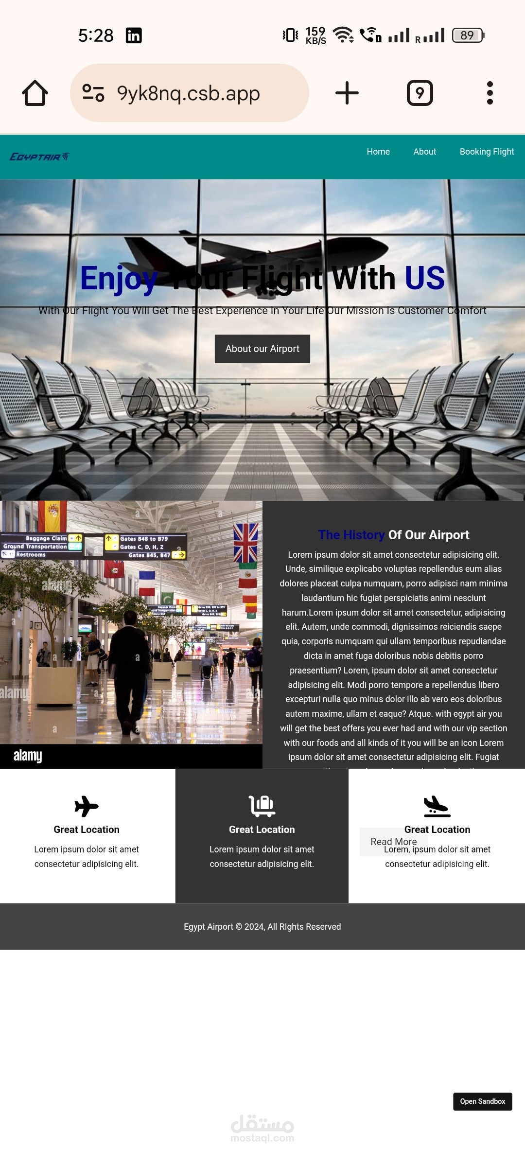 Airport Egyptian Air Website
