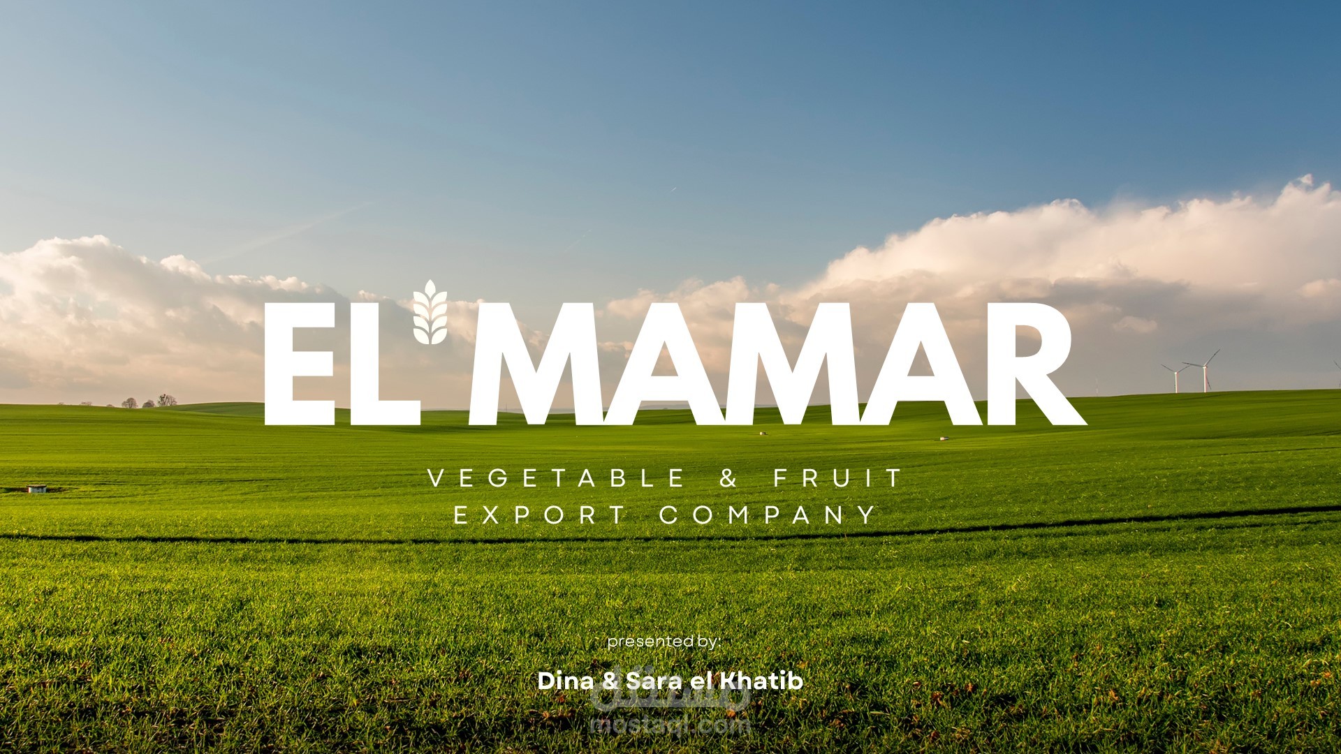 تصميم كتالوج و هوية بصرية كاملة لشركة الاستراد و التصدير من مصر الي الامارات - الممر- تم اسخدام برنامج الفوتوشوب و الاليستريتور