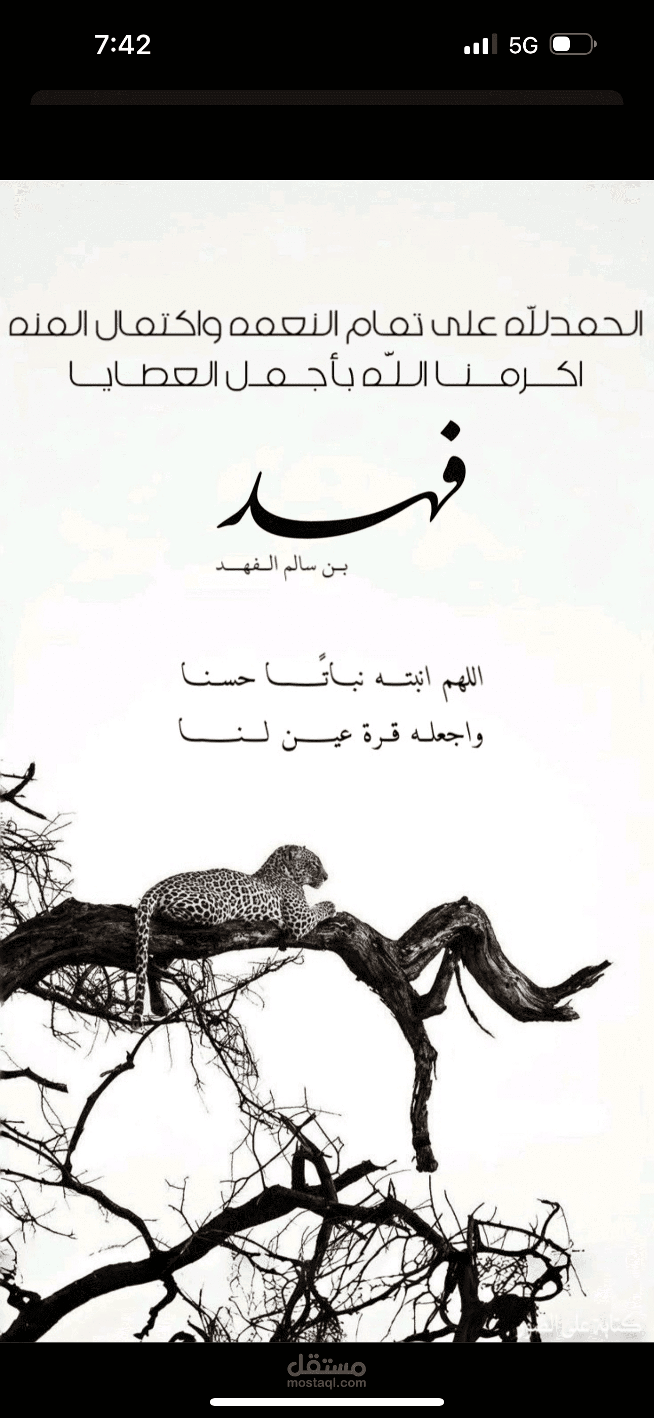 تهنئة مولود ب طابع مميز