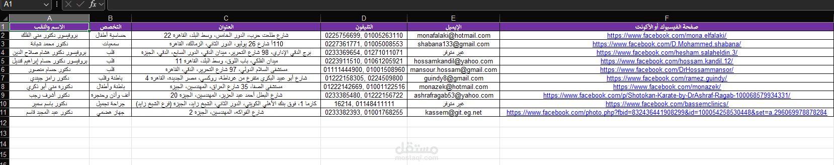 تجميع وتنظيم بيانات الأطباء في ملف Excel احترافي