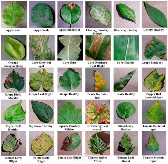 Plant-Disease-Detection